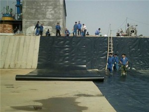 水產(chǎn)養殖防滲